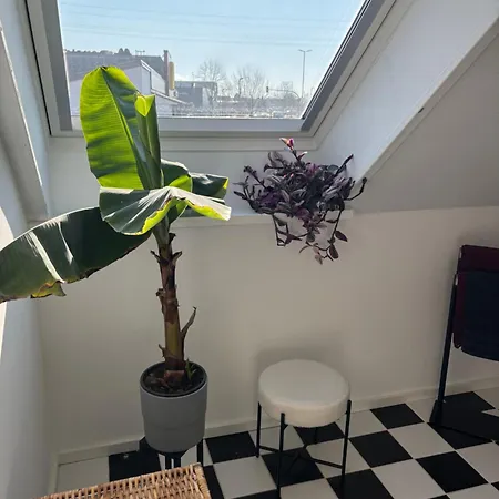 Apartment Zentrale Lage, Kostenlos Parken, Ideal Fuer Pendler, Und Haustiere Willkommen!!