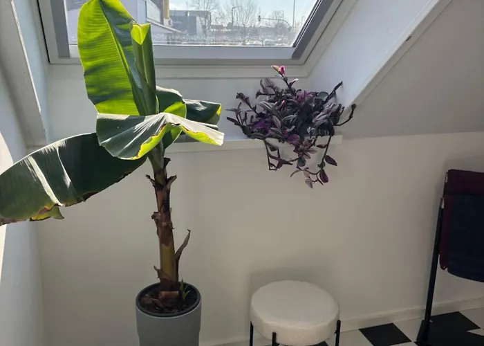 アパート Zentrale Lage, Kostenlos Parken, Ideal Fuer Pendler, Und Haustiere Willkommen!!